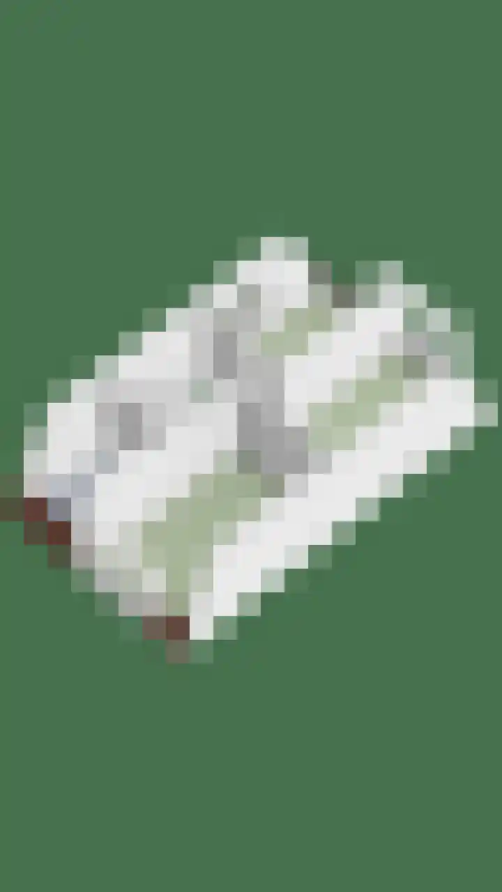 Hoefsmid 33 Wijchen thumbnail 44