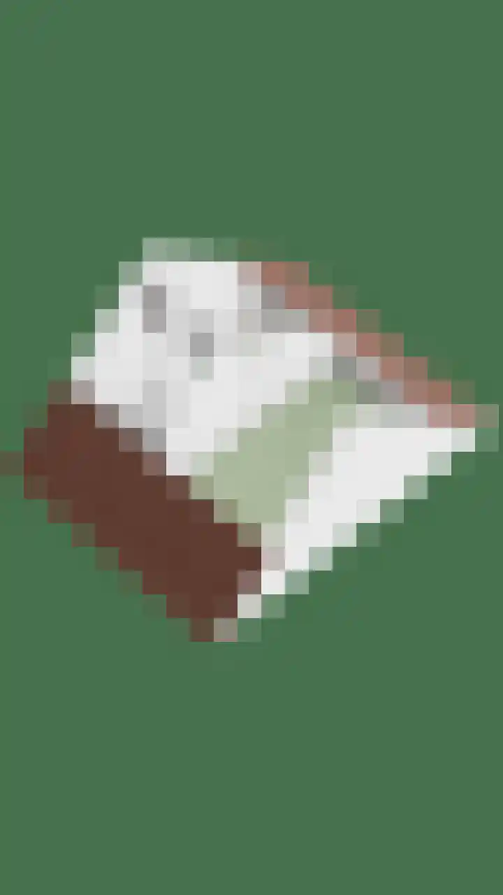 Hoefsmid 33 Wijchen thumbnail 45