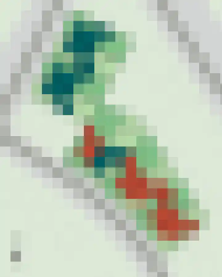 Hoefsmid 5 Weert thumbnail 5