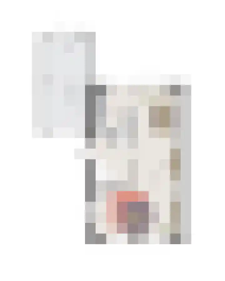 Hoefsmid 5 Weert thumbnail 6