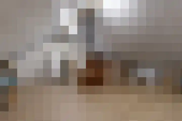 Hoefsmid 8 Nieuwerbrug aan den Rijn thumbnail 23