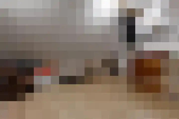 Hoefsmid 8 Nieuwerbrug aan den Rijn thumbnail 24