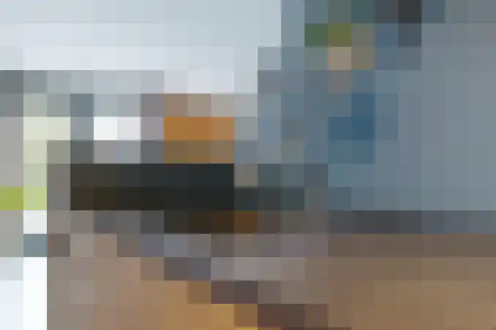 Hoefsmid 8 Nieuwerbrug aan den Rijn thumbnail 8