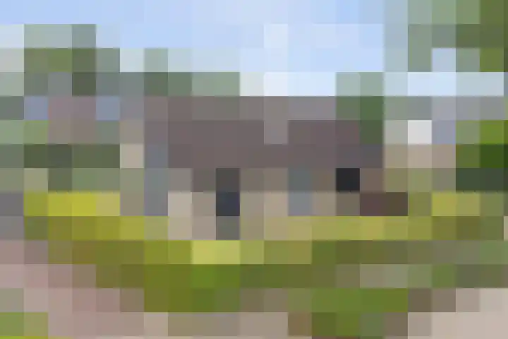 Hoefsmid 9 Leiderdorp thumbnail 30