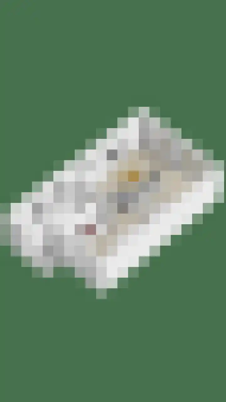 Hoefsmid 9 Leiderdorp thumbnail 31