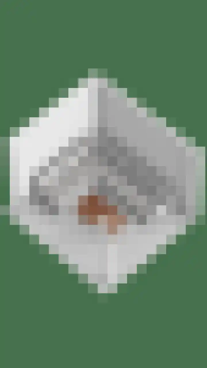 Hoefsmid 9 Leiderdorp thumbnail 35