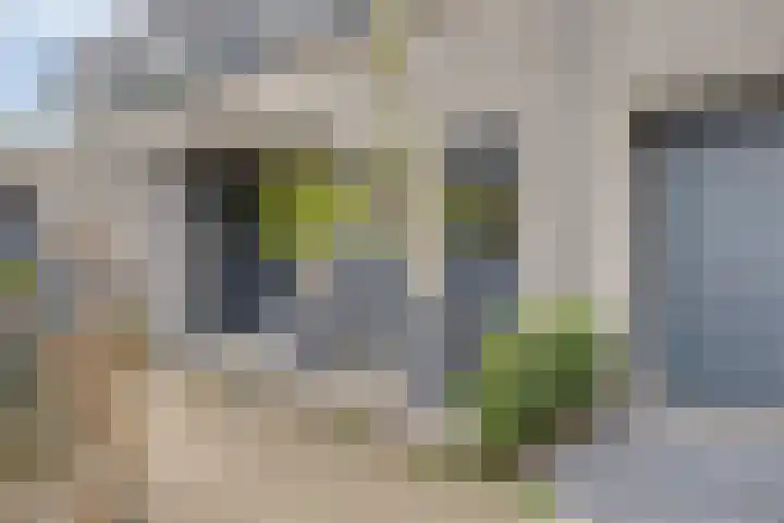 Hoefsmid 9 Leiderdorp thumbnail 6