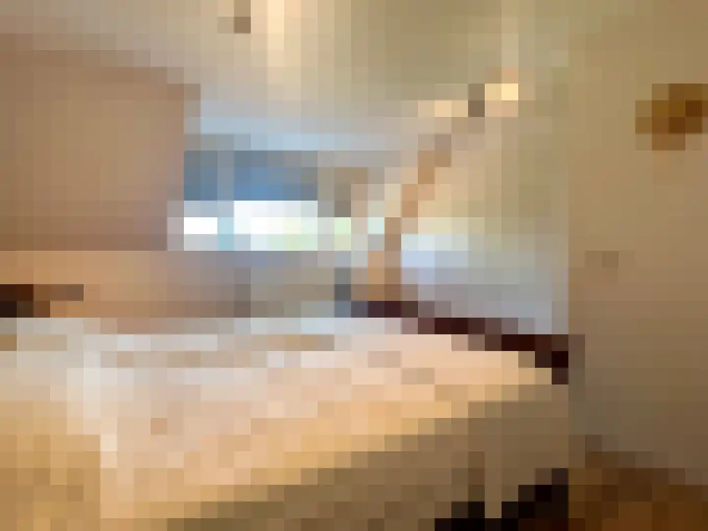 Hoefsmid 9 Lopik thumbnail 30