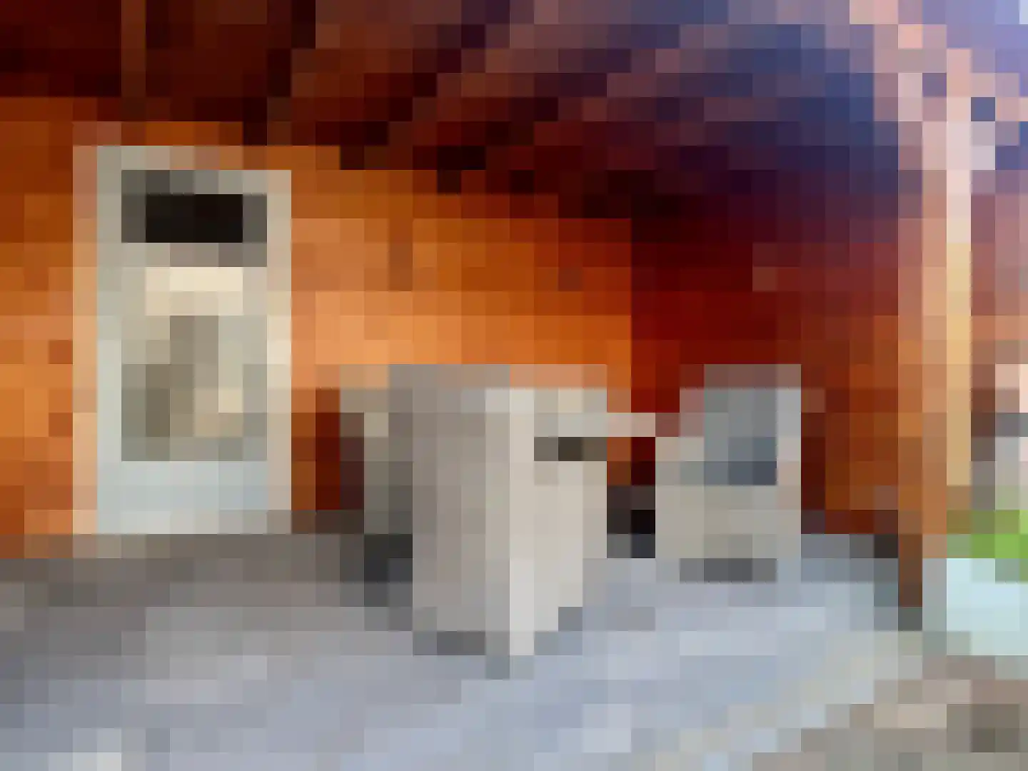 Hoefsmid 9 Lopik thumbnail 37