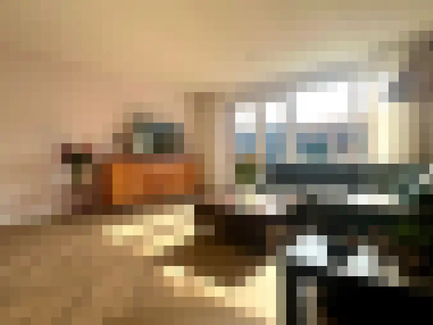 Hoefsmid 9 Lopik thumbnail 8