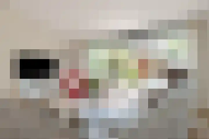 Hoefsmiderf 6 Amersfoort thumbnail 15
