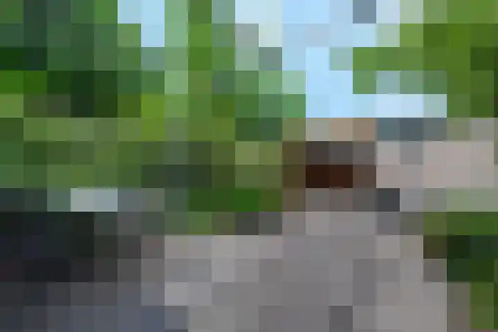 Hoefsmiderf 6 Amersfoort thumbnail 33