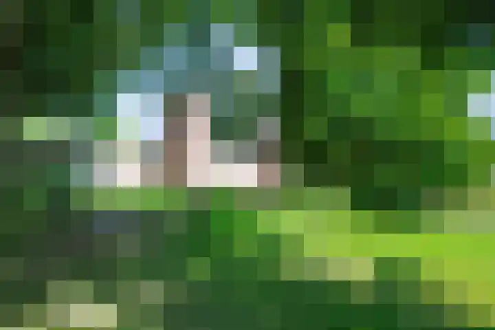 Hoefsmiderf 6 Amersfoort thumbnail 34