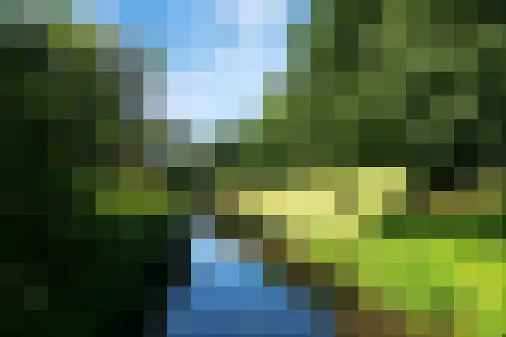 Hoefsmiderf 6 Amersfoort thumbnail 35