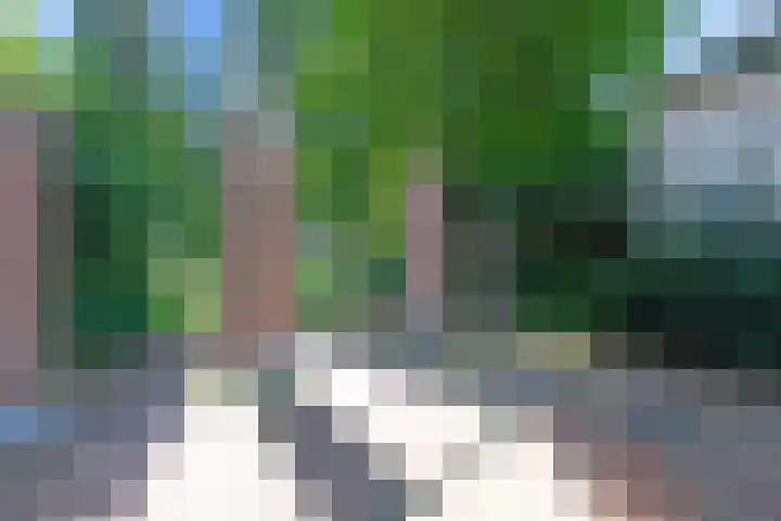 Hoefsmiderf 6 Amersfoort thumbnail 36