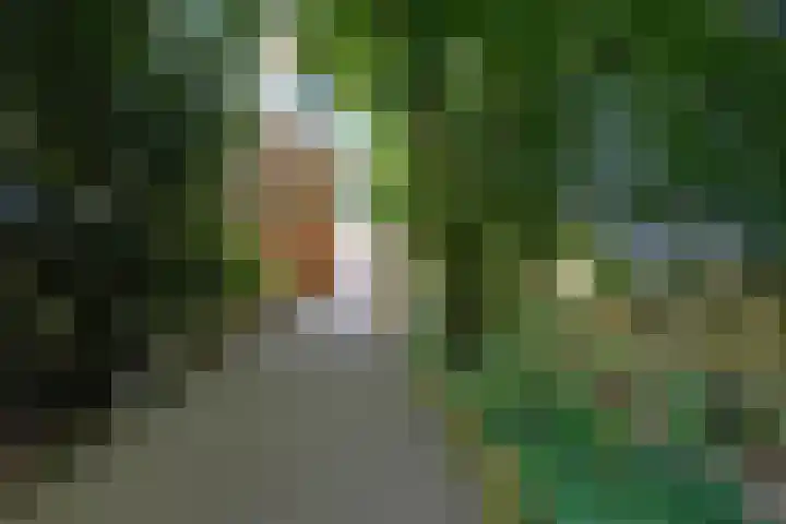Hoefsmiderf 6 Amersfoort thumbnail 37