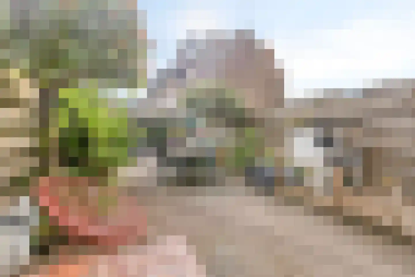 Hoefsmidstraat 22 Schiedam thumbnail 14