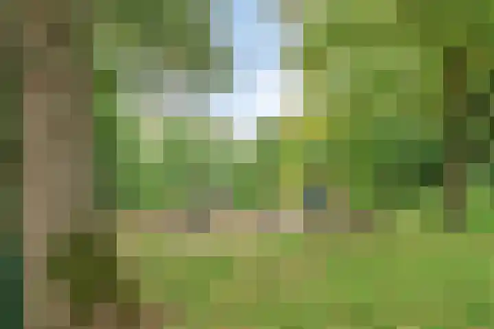Hoefsmidwei 48 Valkenswaard thumbnail 26