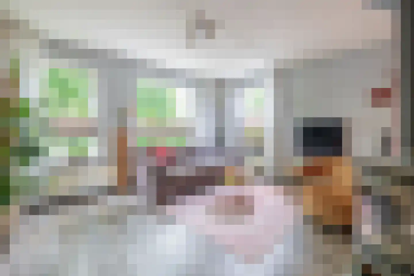 Hoefsteeg 20 Waalwijk thumbnail 11