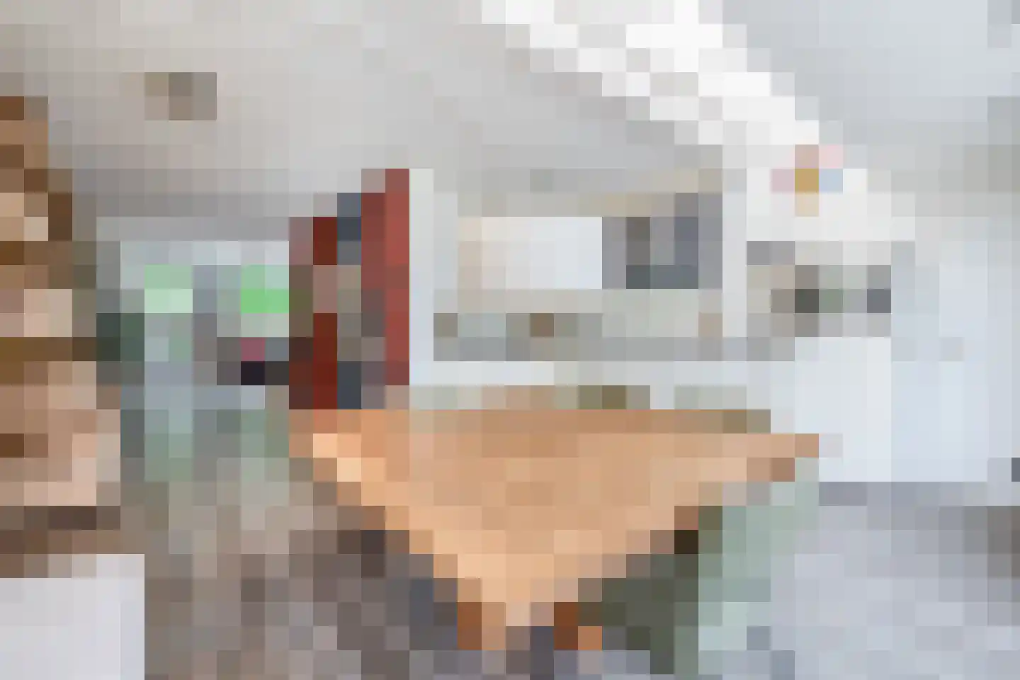 Hoefsteeg 20 Waalwijk thumbnail 14