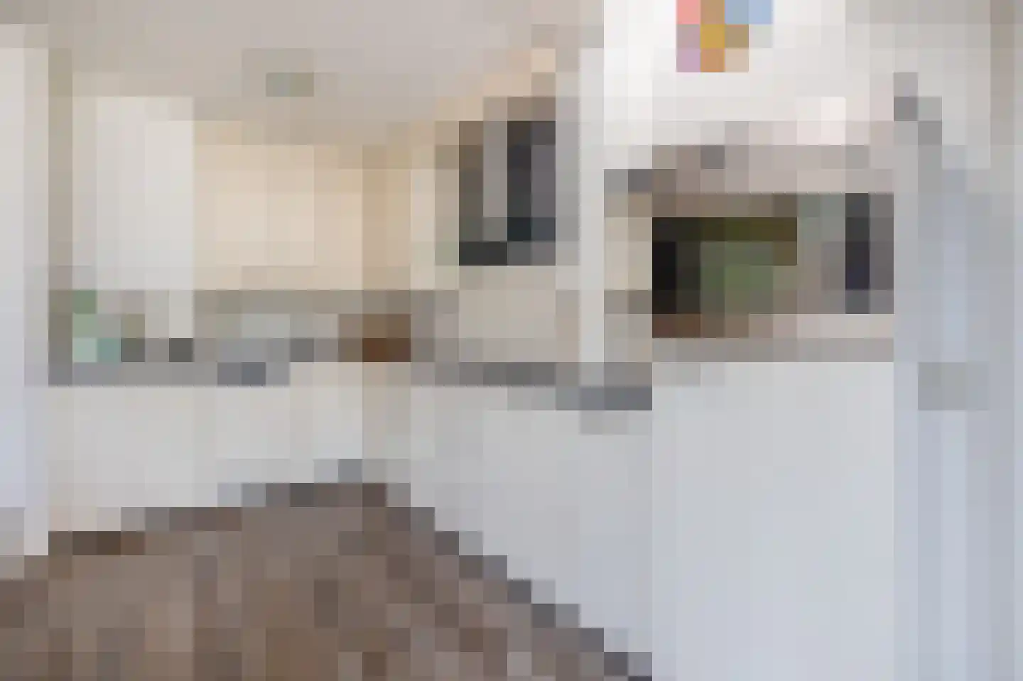 Hoefsteeg 20 Waalwijk thumbnail 15