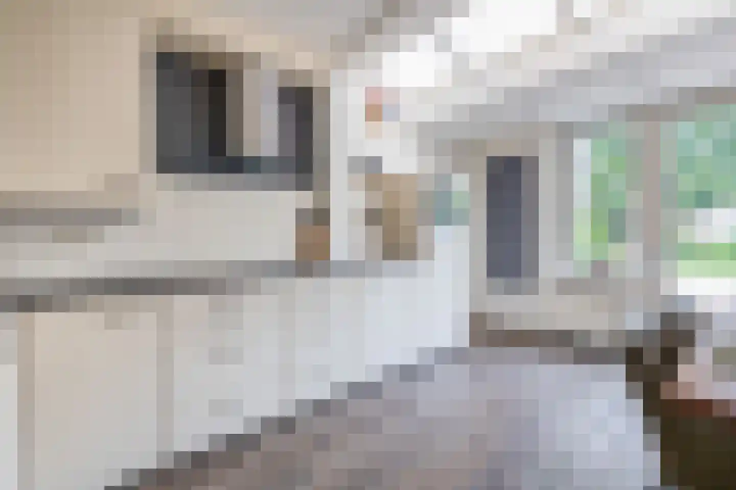 Hoefsteeg 20 Waalwijk thumbnail 16