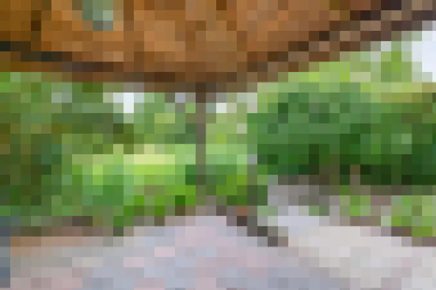 Hoefsteeg 20 Waalwijk thumbnail 21