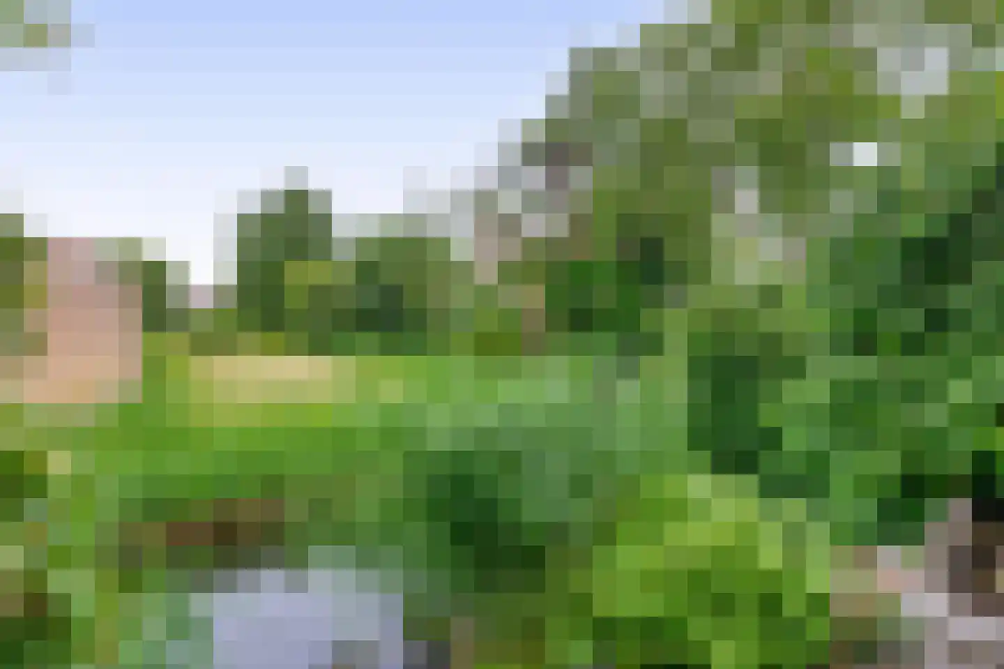 Hoefsteeg 20 Waalwijk thumbnail 22