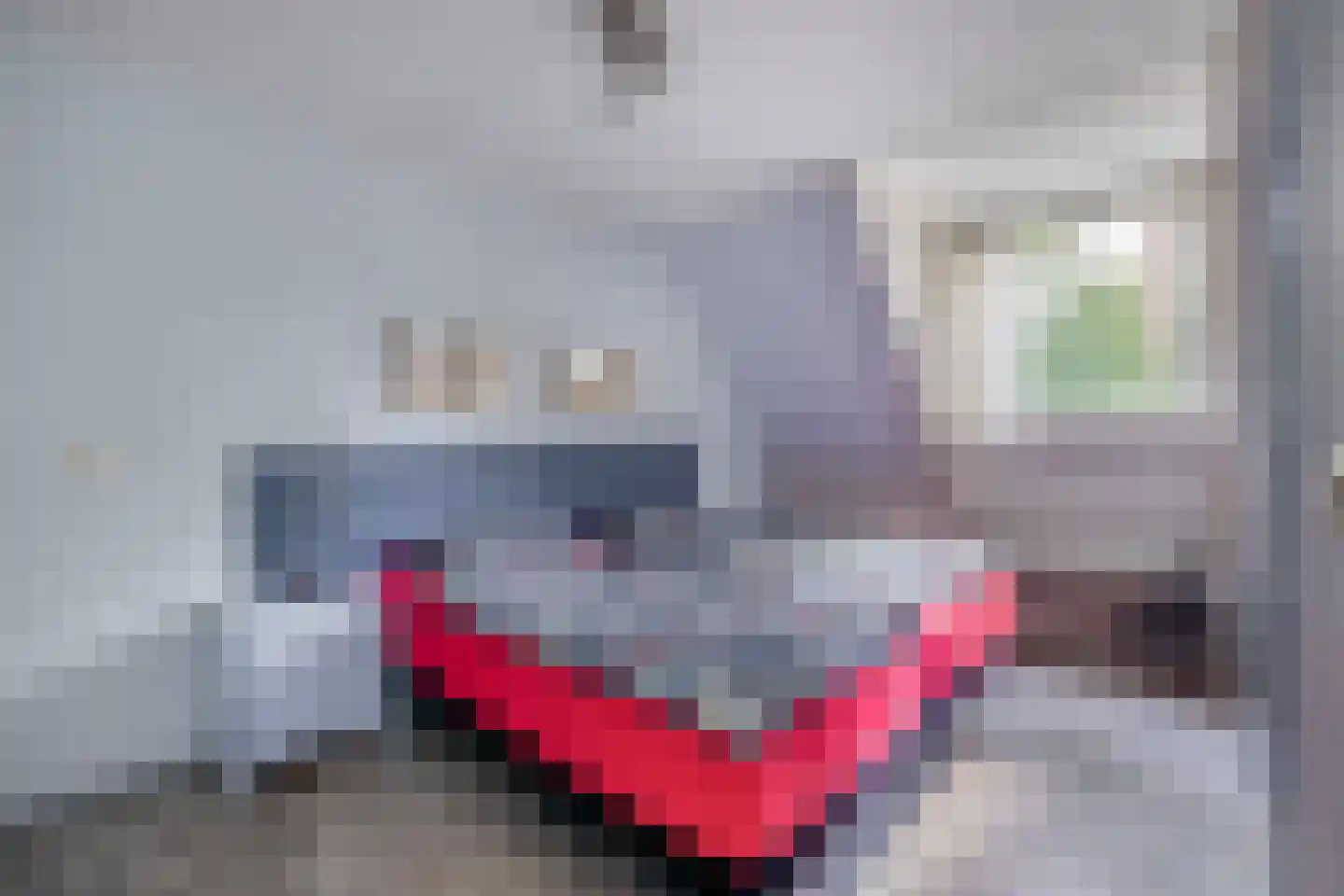 Hoefsteeg 20 Waalwijk thumbnail 27