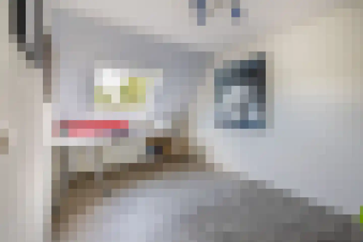 Hoefsteeg 20 Waalwijk thumbnail 31