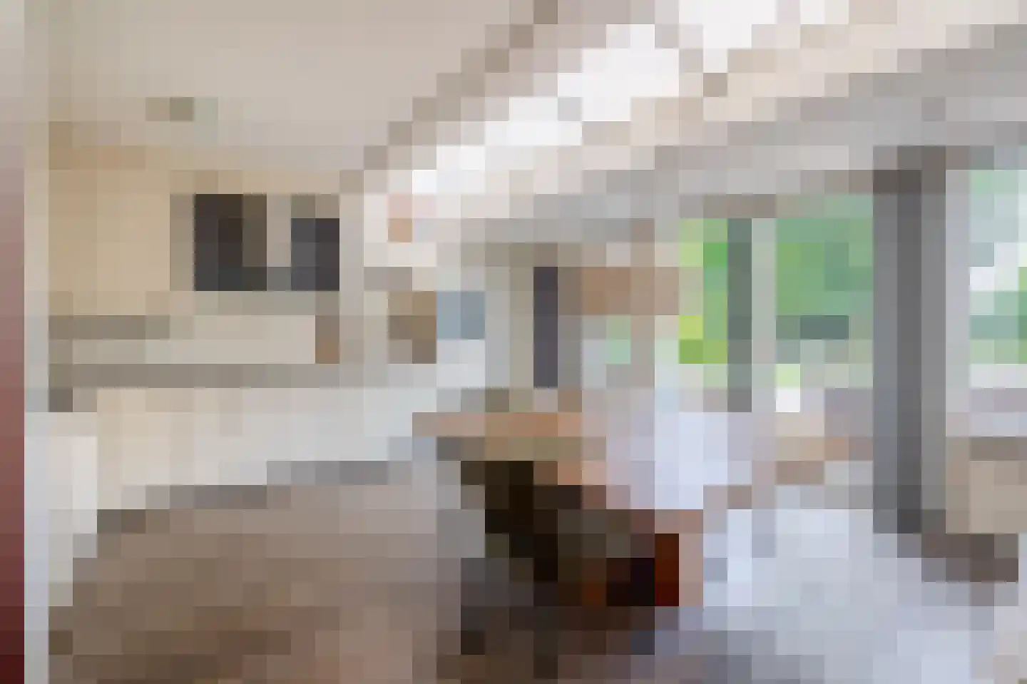 Hoefsteeg 20 Waalwijk thumbnail 4