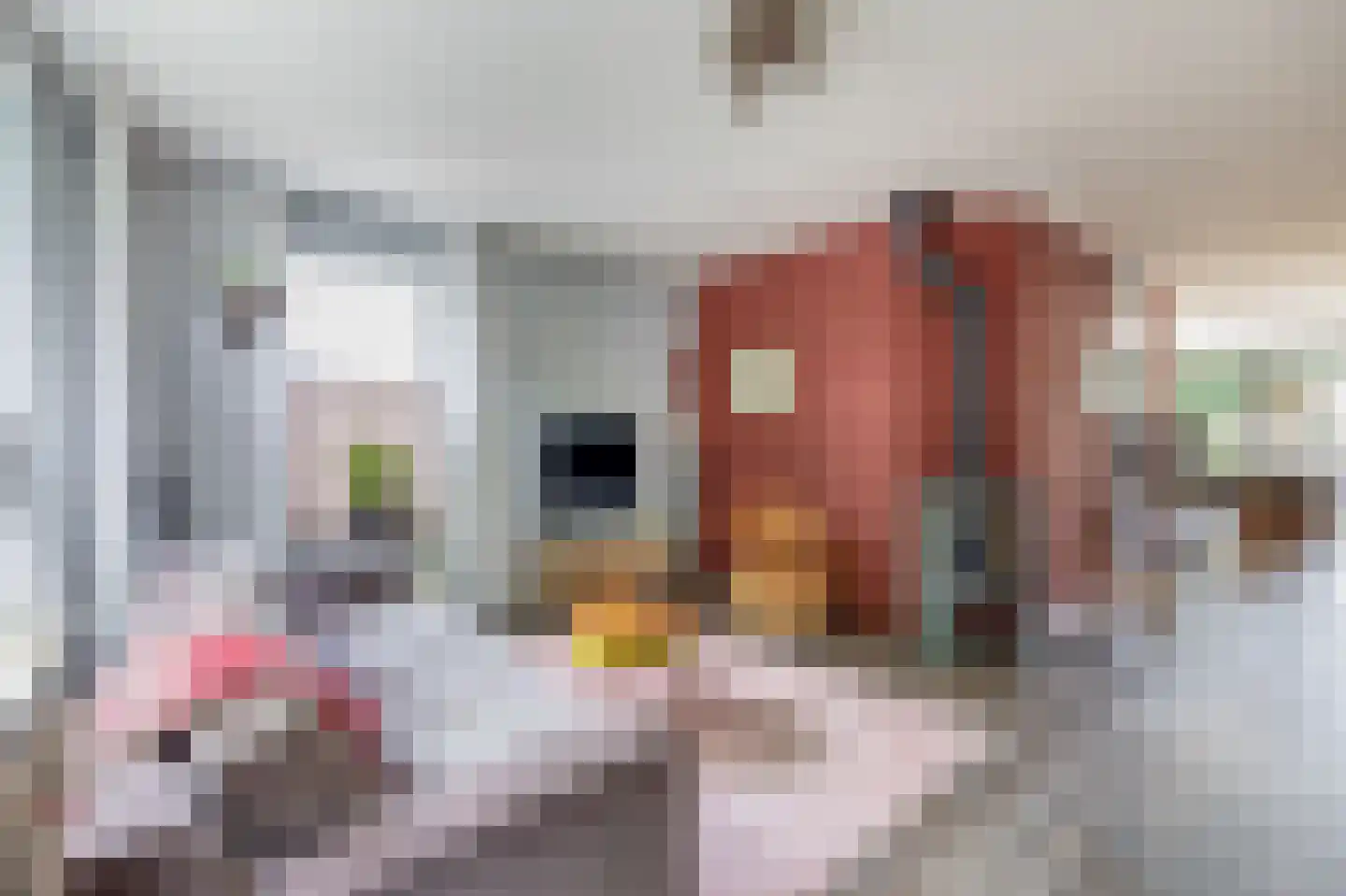 Hoefsteeg 20 Waalwijk thumbnail 5