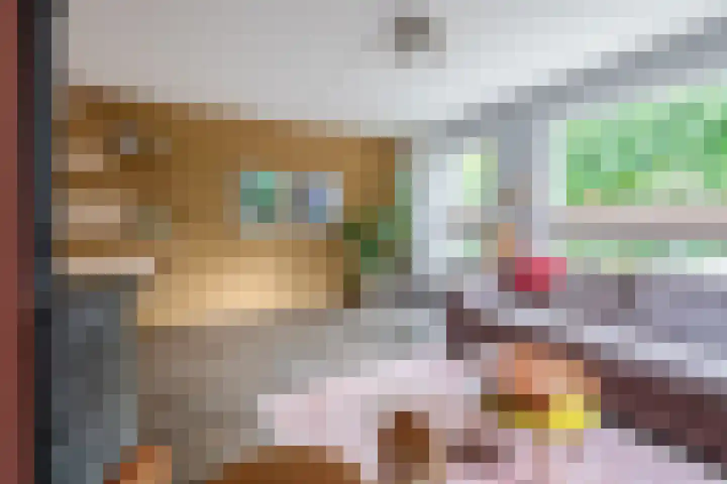 Hoefsteeg 20 Waalwijk thumbnail 9