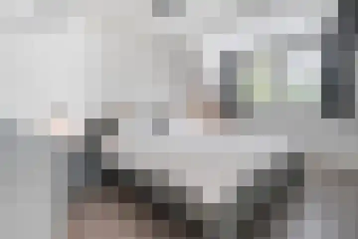 Hoefsteeg 4 Waalwijk thumbnail 17