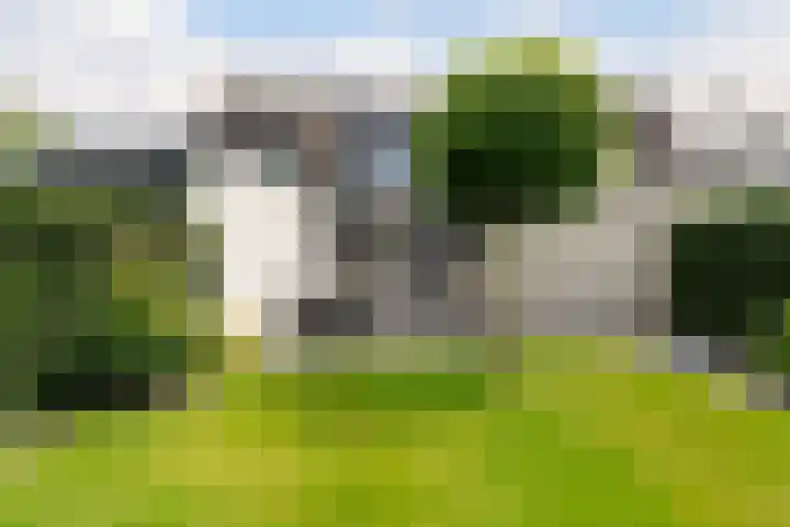 Hoefsteeg 4 Waalwijk thumbnail 27