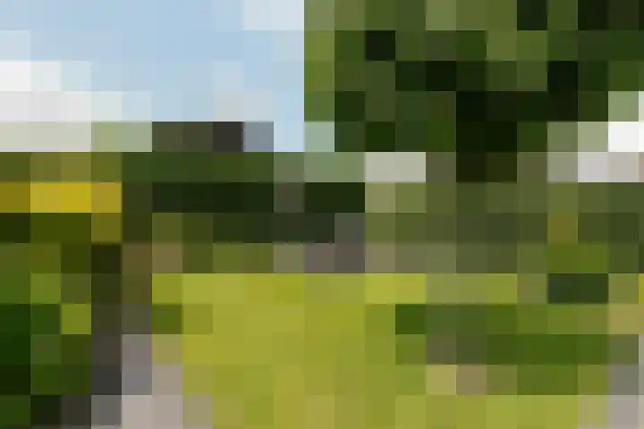 Hoefsteeg 4 Waalwijk thumbnail 29