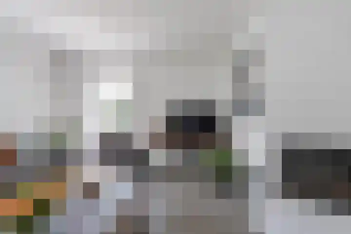 Hoefsteeg 4 Waalwijk thumbnail 9