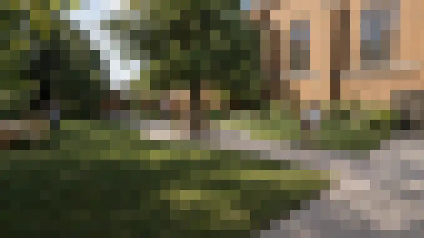 Hoefstraat 1 Tilburg thumbnail 36