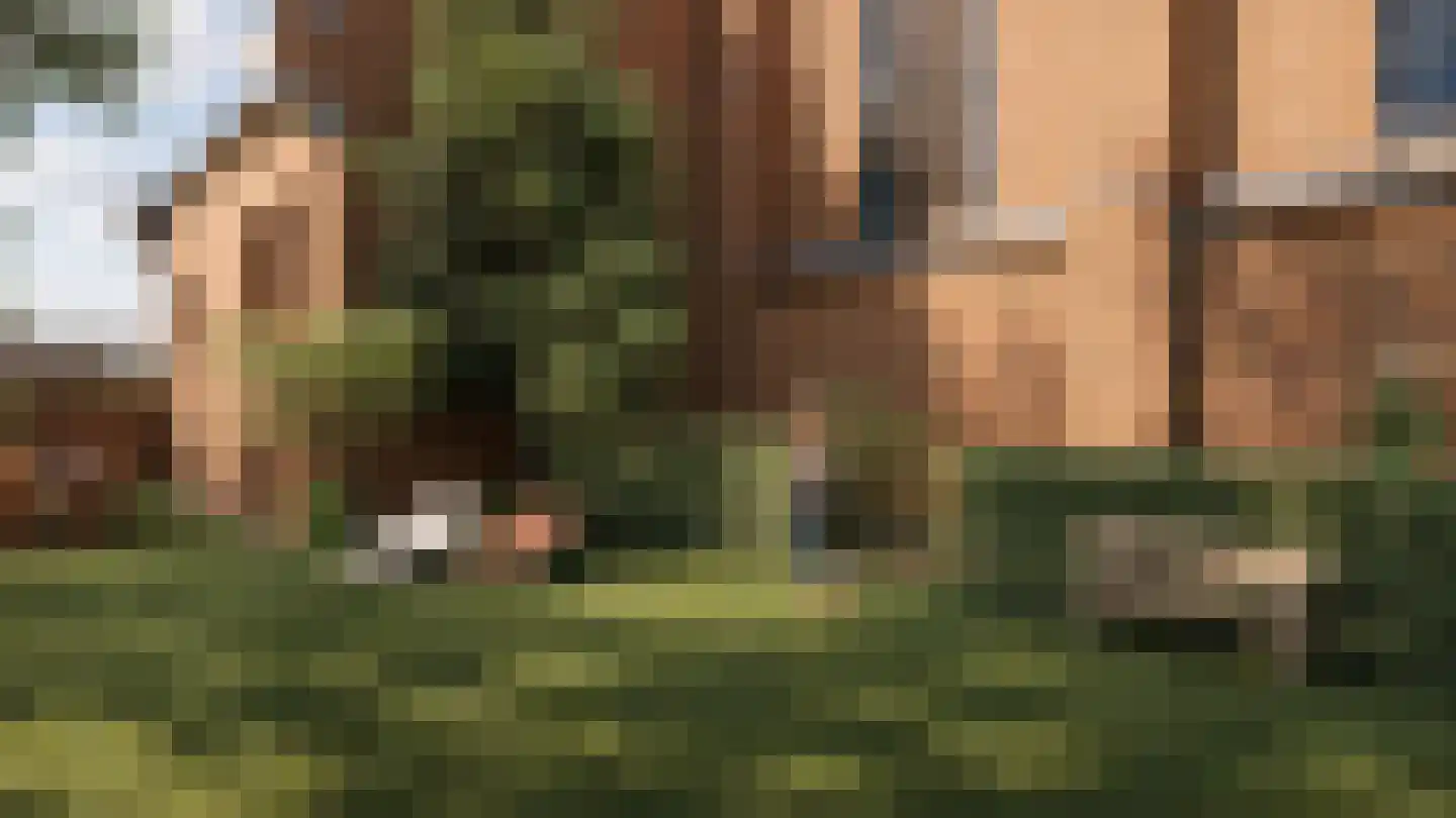 Hoefstraat 1 Tilburg thumbnail 38