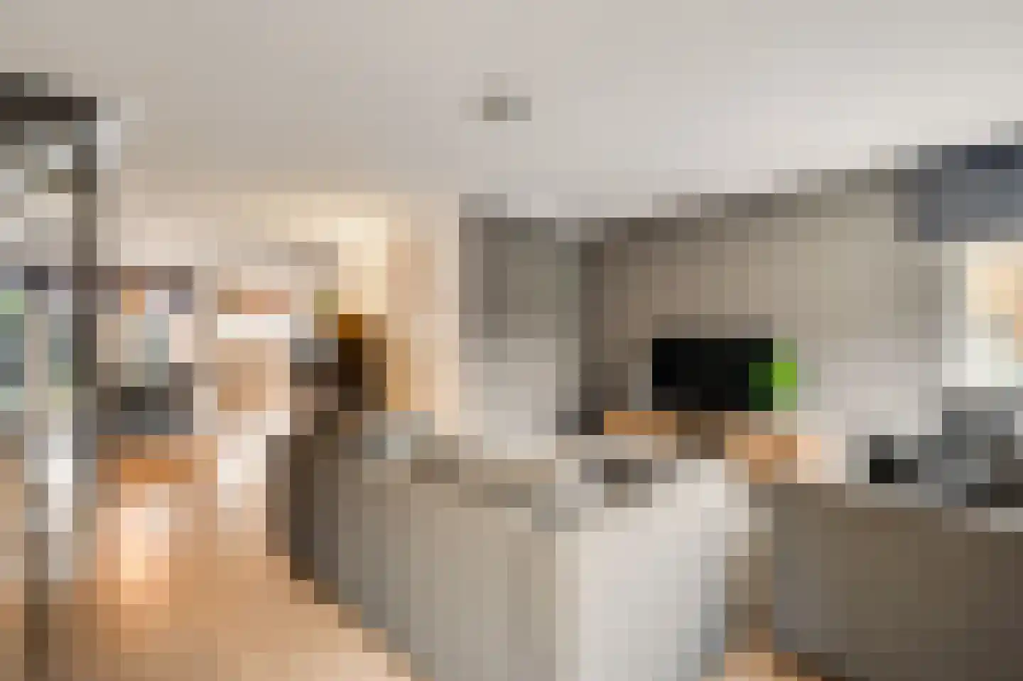 Hoefstraat 10 Horn thumbnail 11