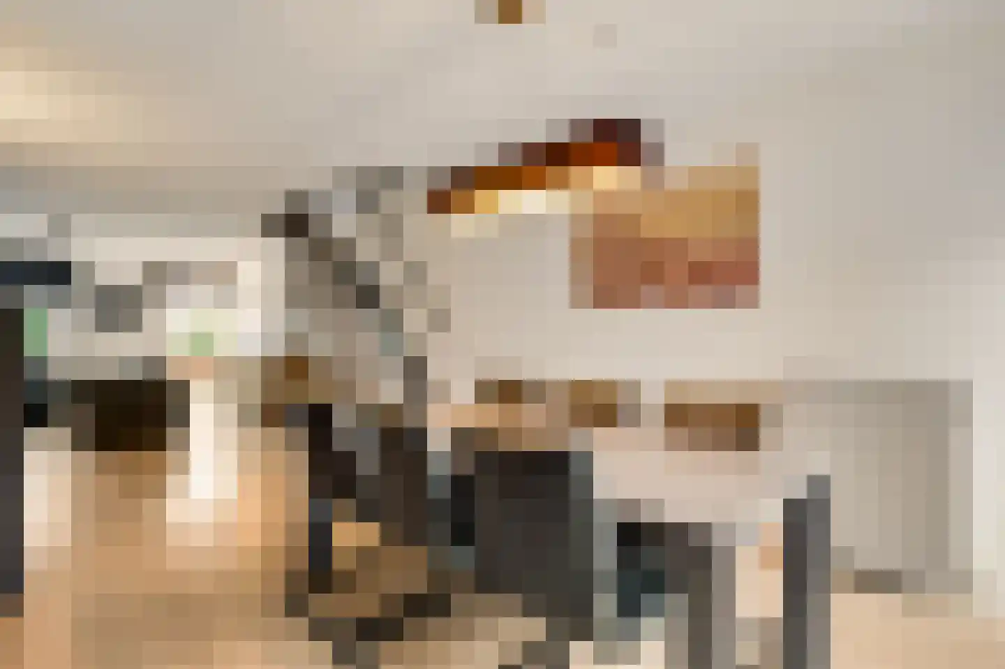 Hoefstraat 10 Horn thumbnail 14