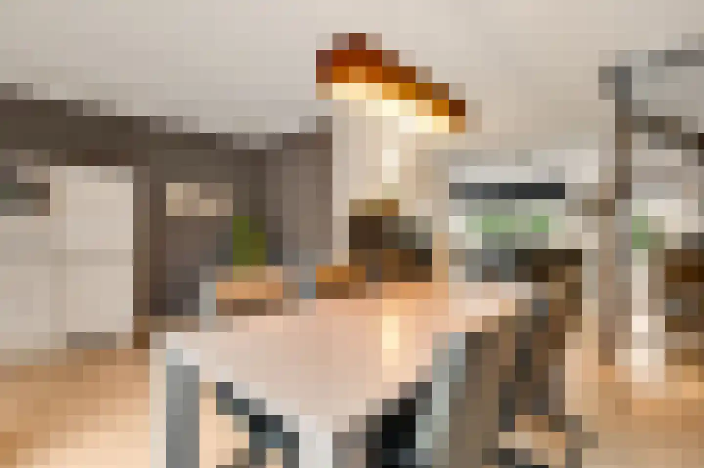 Hoefstraat 10 Horn thumbnail 15