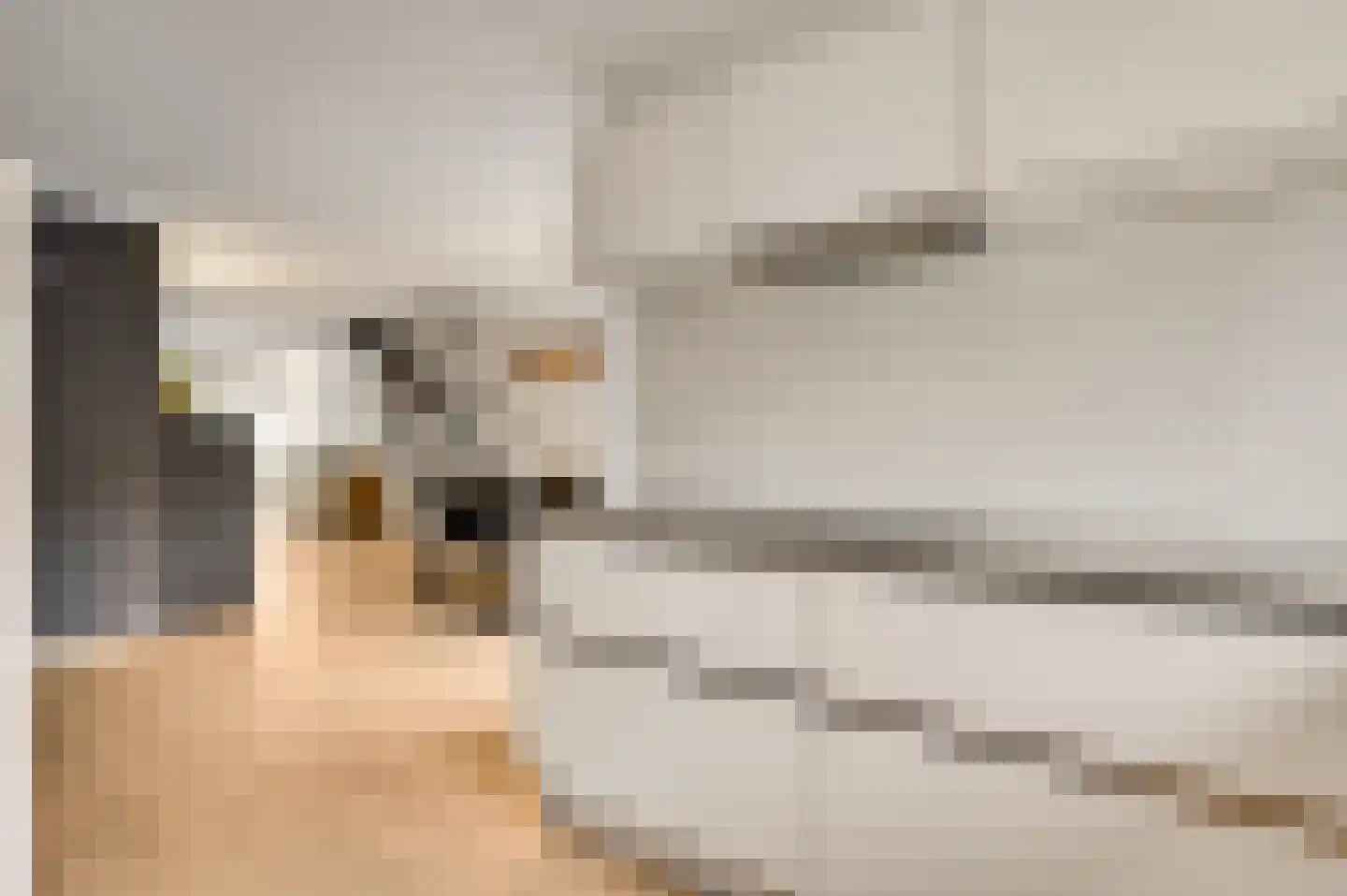 Hoefstraat 10 Horn thumbnail 18