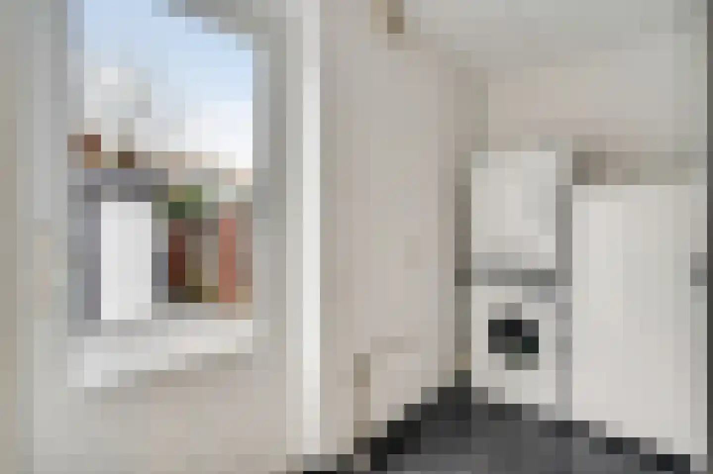Hoefstraat 10 Horn thumbnail 19