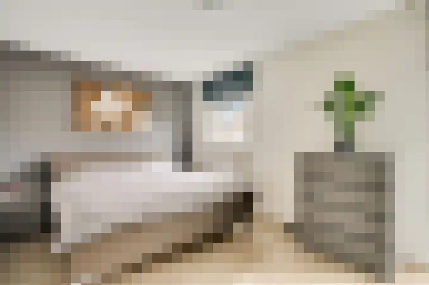 Hoefstraat 10 Horn thumbnail 4
