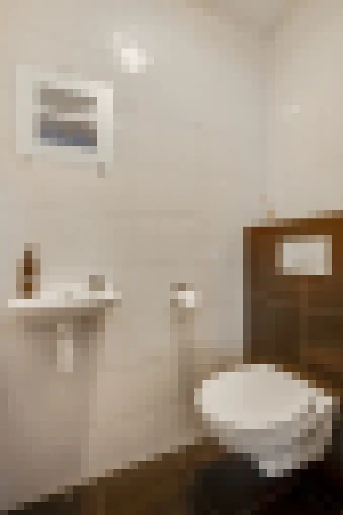 Hoefstraat 10 Horn thumbnail 9