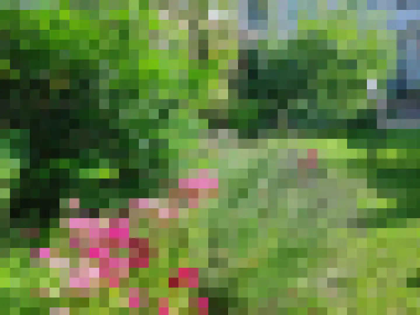 Hoefstraat 103 Tilburg thumbnail 36