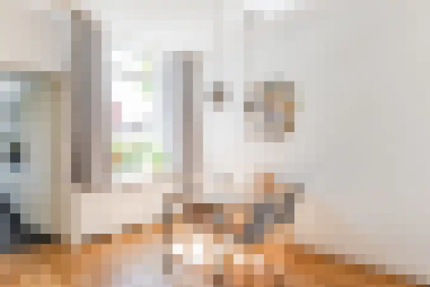 Hoefstraat 103 Tilburg thumbnail 7