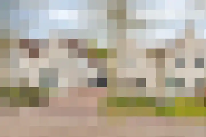 Hoefstraat 12 Heesch thumbnail 10