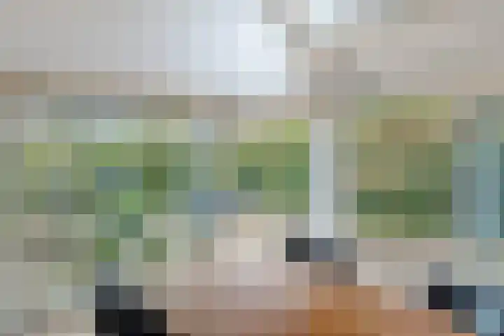 Hoefstraat 12 Heesch thumbnail 24